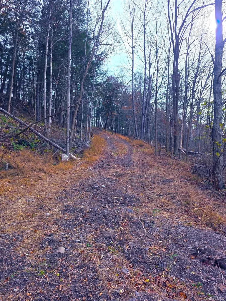 0 County Route 41 Cairo NY 12413