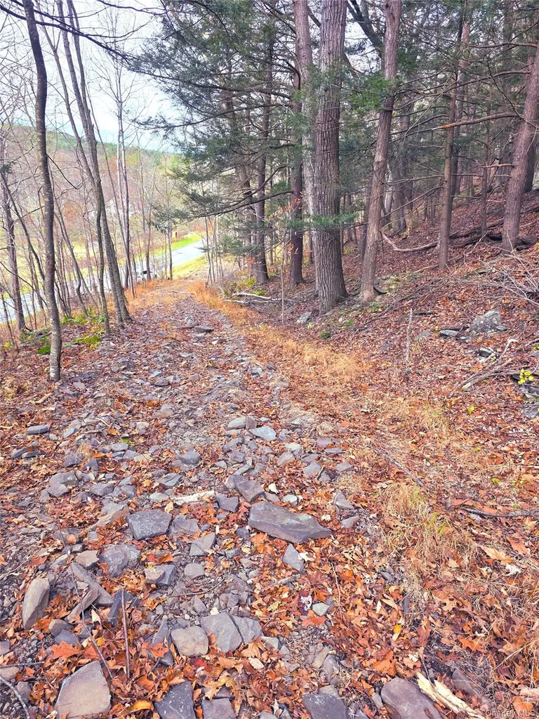 0 County Route 41 Cairo NY 12413