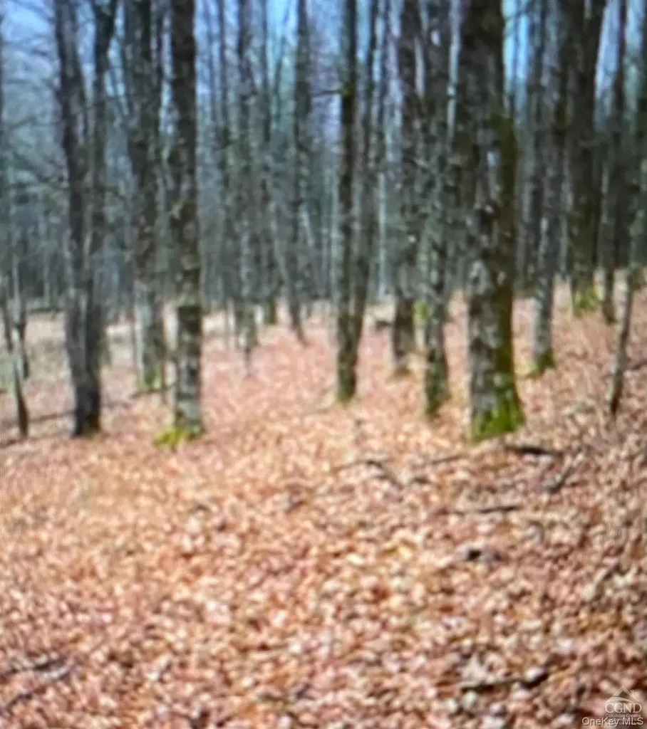 County Route 312 Call Listing Agent NY 12045