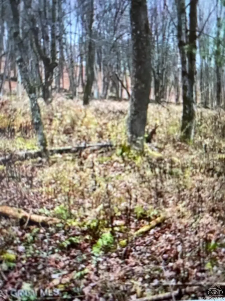 County Route 312 Call Listing Agent NY 12045