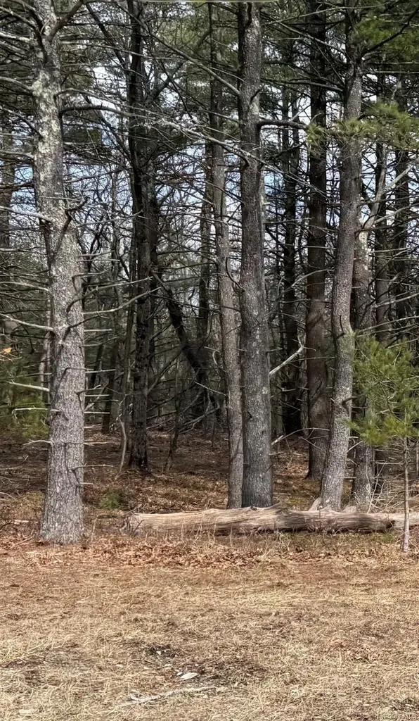 County Route 312 Call Listing Agent NY 12045