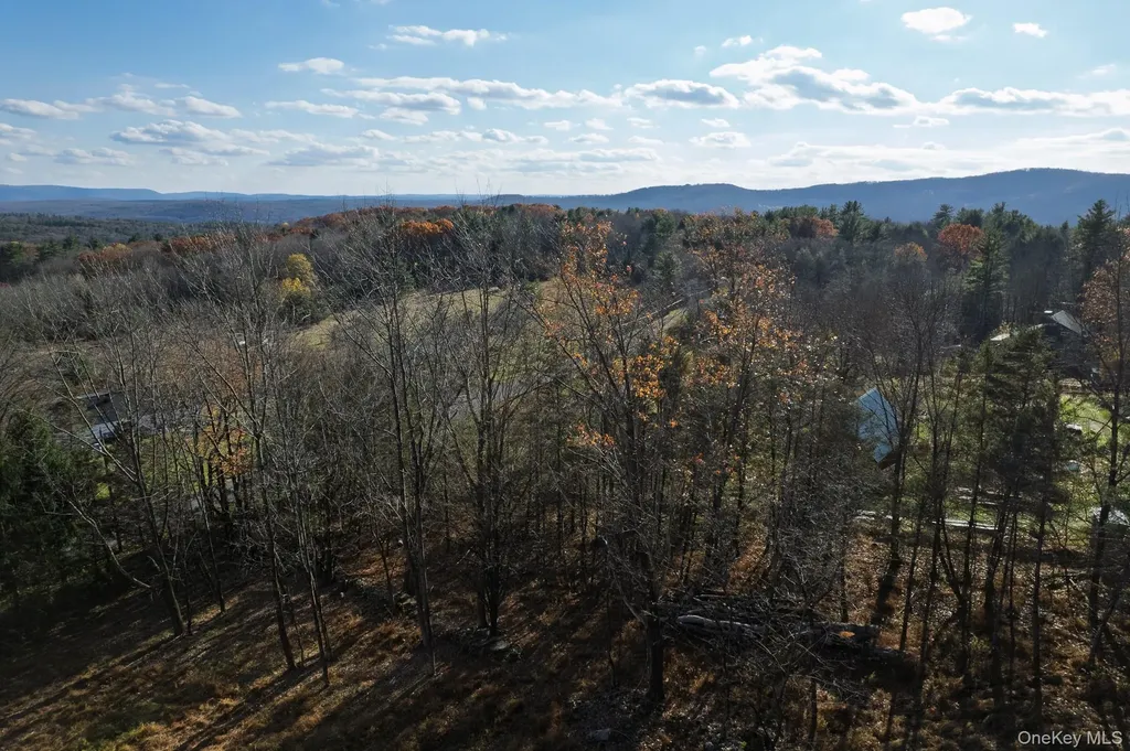 15 Deans Road Grahamsville NY 12458