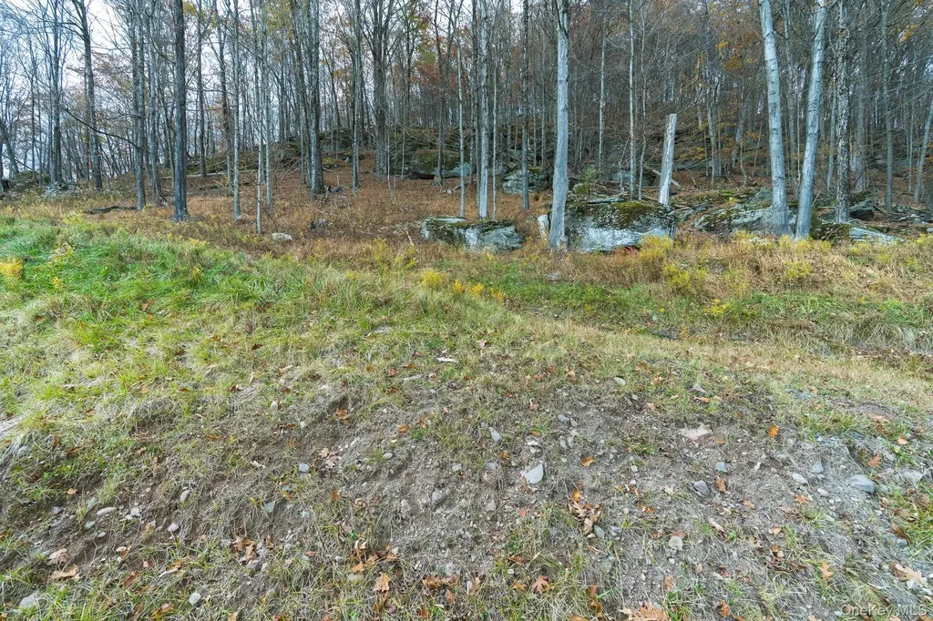 15 Deans Road Grahamsville NY 12458