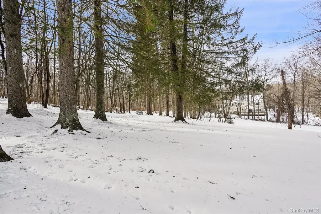 22 Raspberry Lane Carmel NY 10512