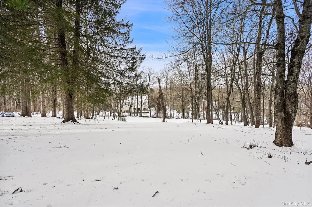 22 Raspberry Lane Carmel NY 10512
