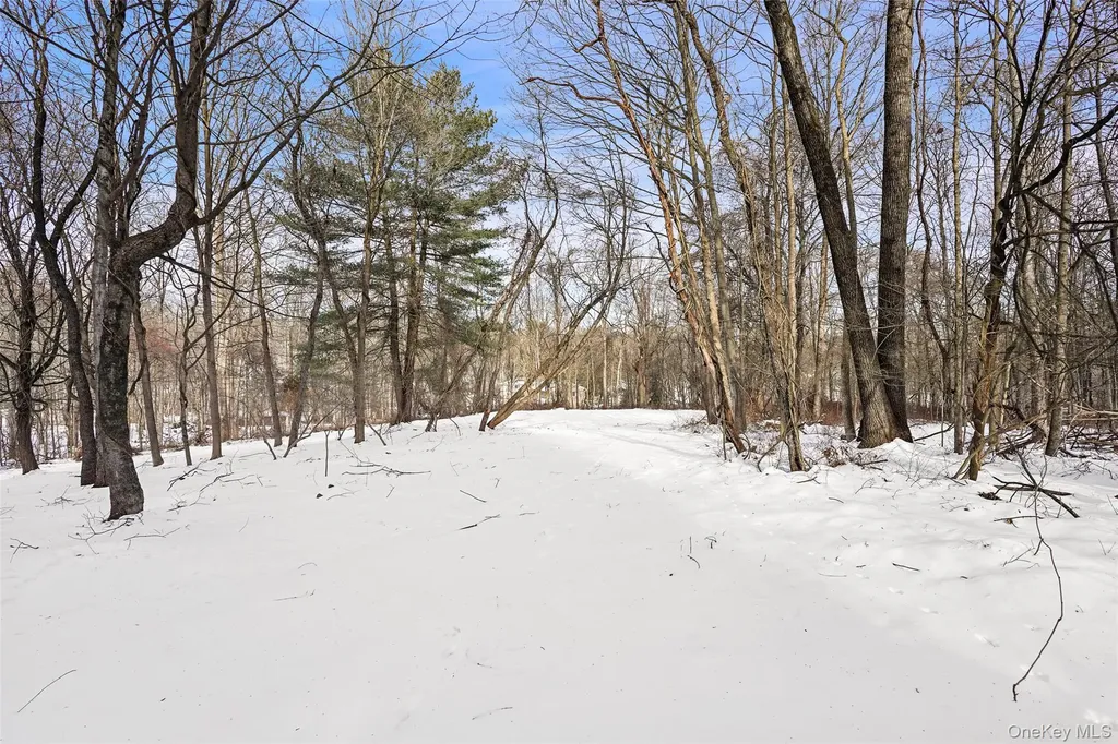 22 Raspberry Lane Carmel NY 10512