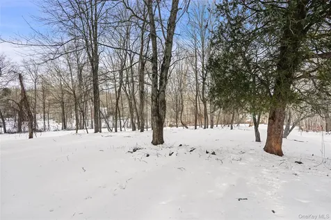 22 Raspberry Lane Carmel NY 10512