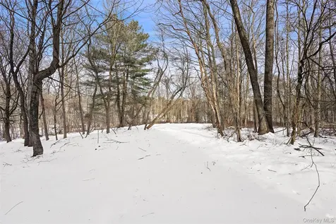 22 Raspberry Lane Carmel NY 10512