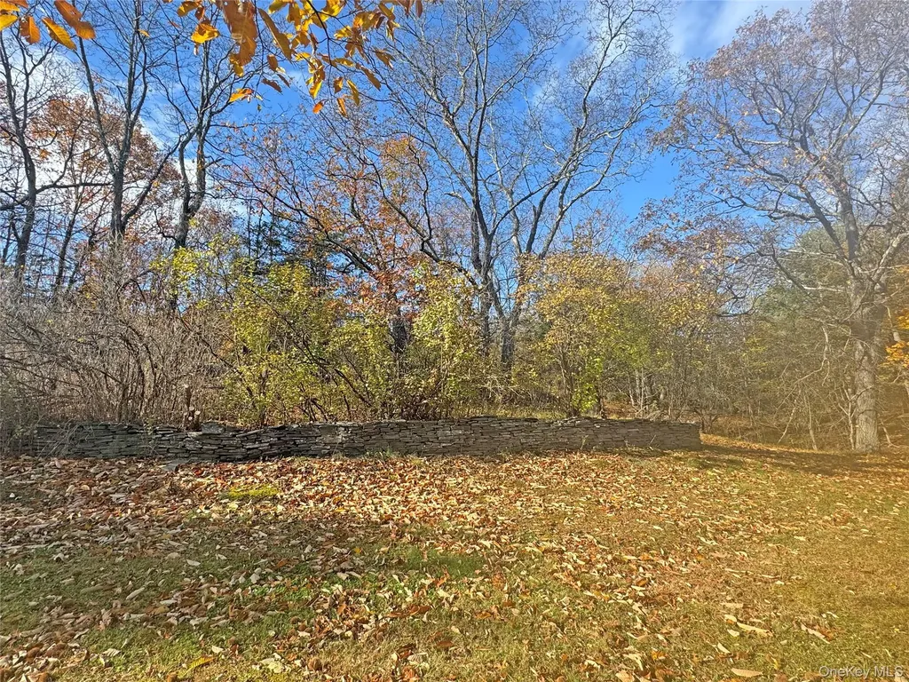 55 Monti Drive Cairo NY 12413