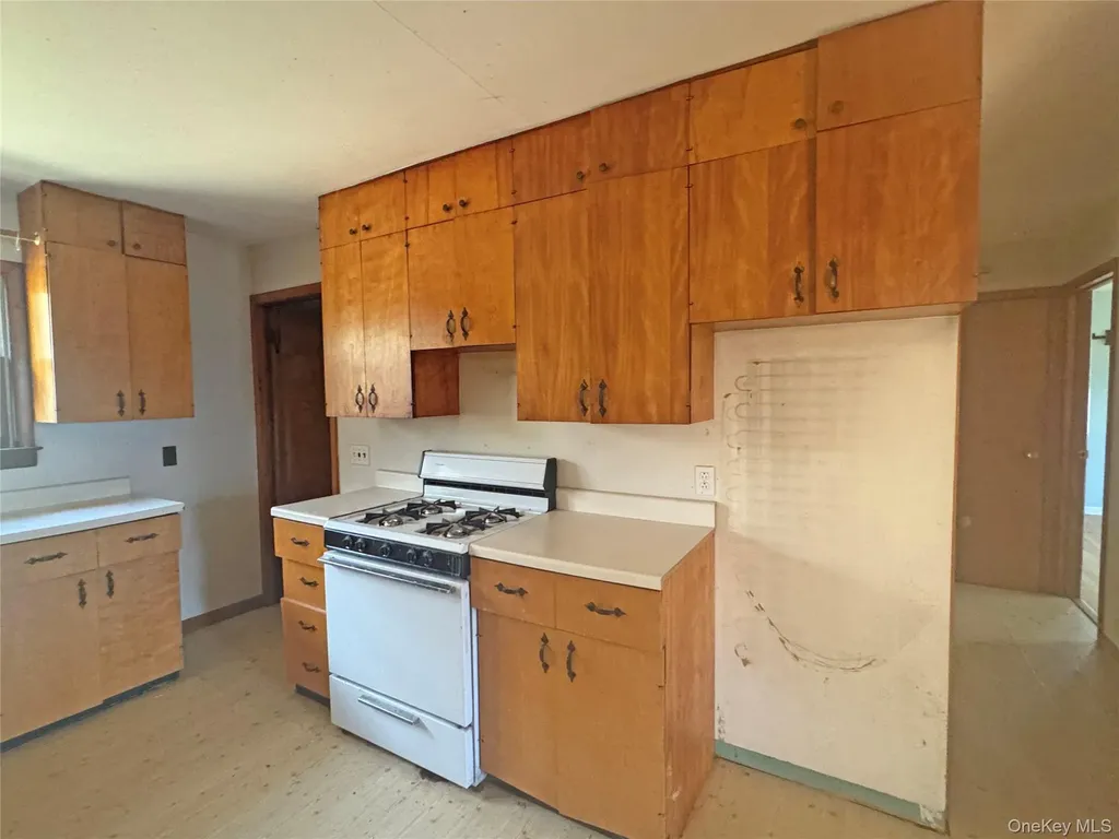 55 Monti Drive Cairo NY 12413