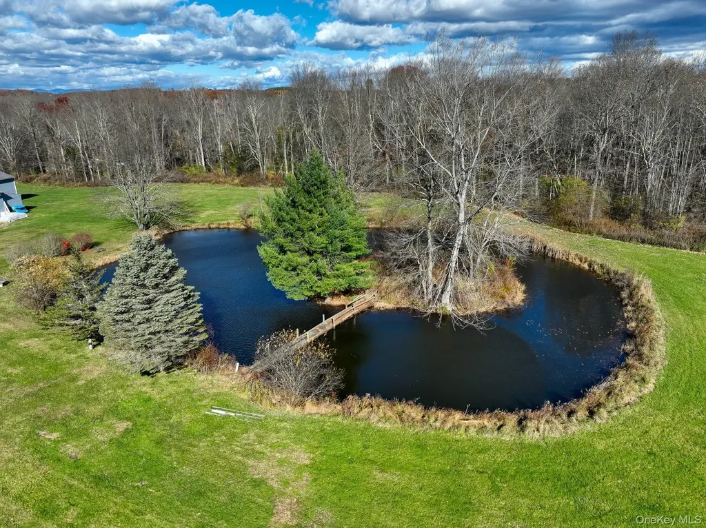 352-354 Ruskey Lane Hyde Park NY 12538