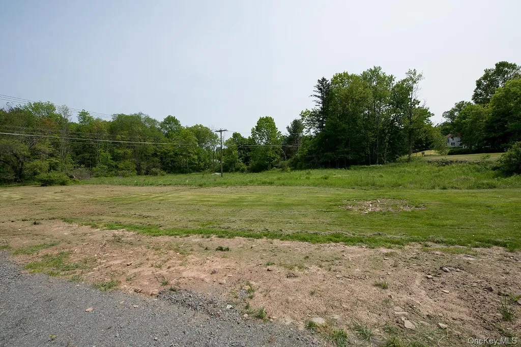 1132 Old Route 17 Ferndale NY 12734