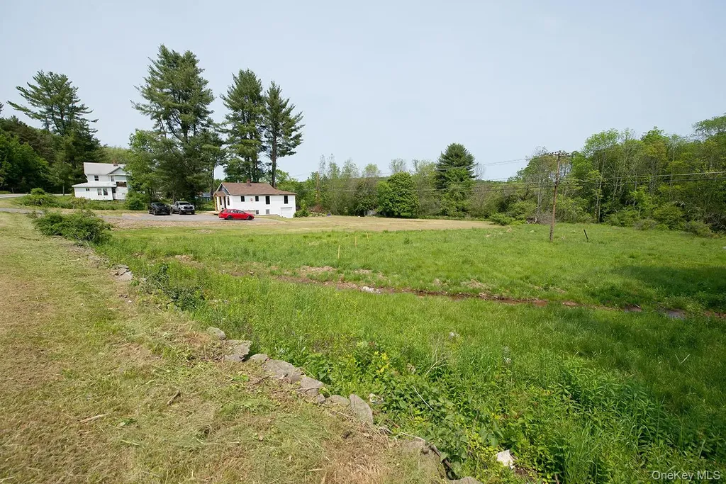 1132 Old Route 17 Ferndale NY 12734