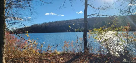 371 Kelly Bridge Road Swan Lake NY 12783