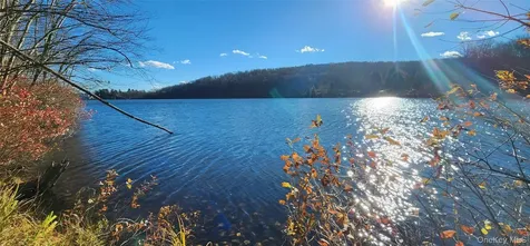 371 Kelly Bridge Road Swan Lake NY 12783