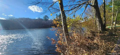 371 Kelly Bridge Road Swan Lake NY 12783