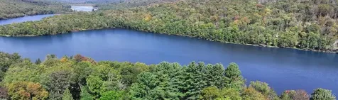 371 Kelly Bridge Road Swan Lake NY 12783