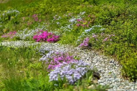 135 Turk Hill Road Carmel NY 10509