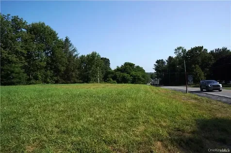 Lot 18 Horseshoe Lake Road And State Route 55 Kauneonga Lake NY 12720