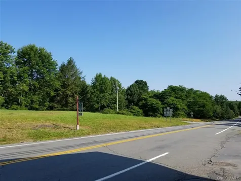 Lot 18 Horseshoe Lake Road And State Route 55 Kauneonga Lake NY 12720