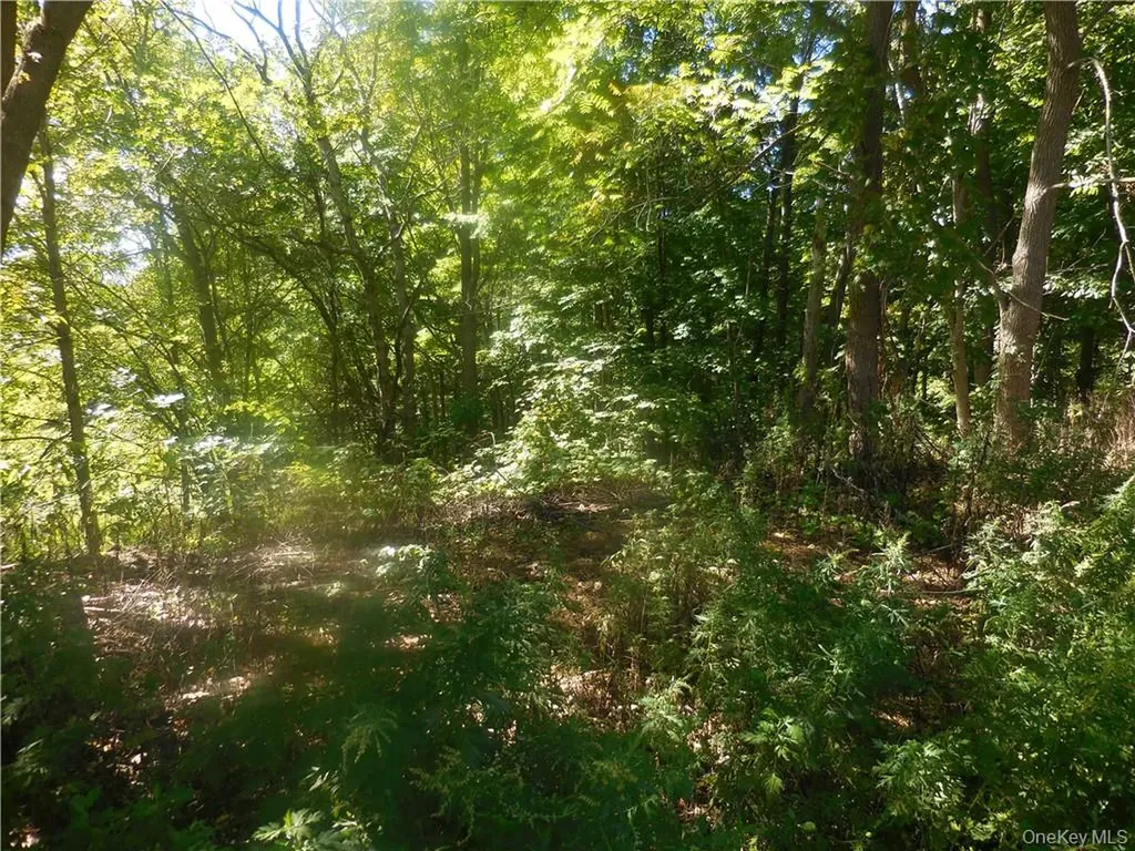Silver Stream Road New Windsor NY 12553