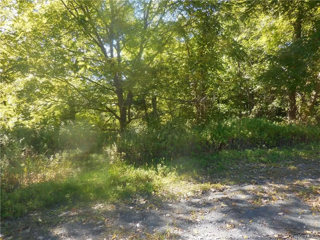 Silver Stream Road New Windsor NY 12553