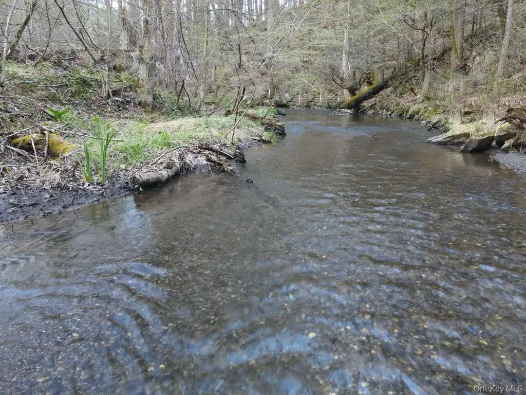 56 Northrup Road Dover Plains NY 12522