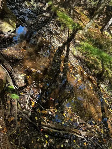 90 Hillside Road Barryville NY 12719