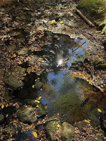 90 Hillside Road Barryville NY 12719