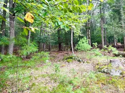 250 County Road 21 Barryville NY 12719