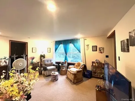 250 County Road 21 Barryville NY 12719