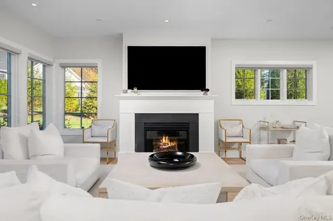 1 Primrose Lane Rye Brook NY 10573