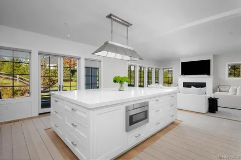 1 Primrose Lane Rye Brook NY 10573