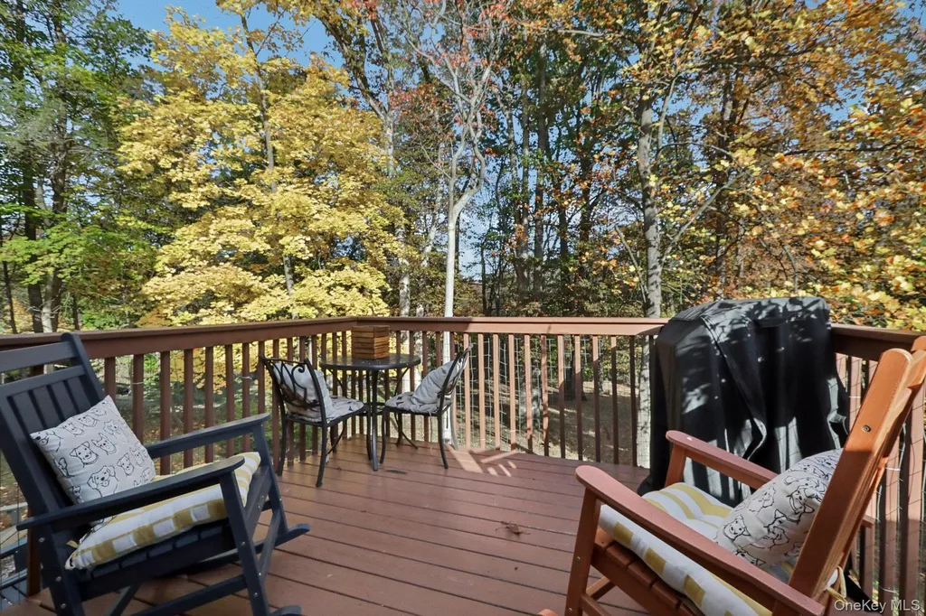 46 Cara Drive Pearl River NY 10965