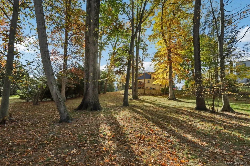 46 Cara Drive Pearl River NY 10965