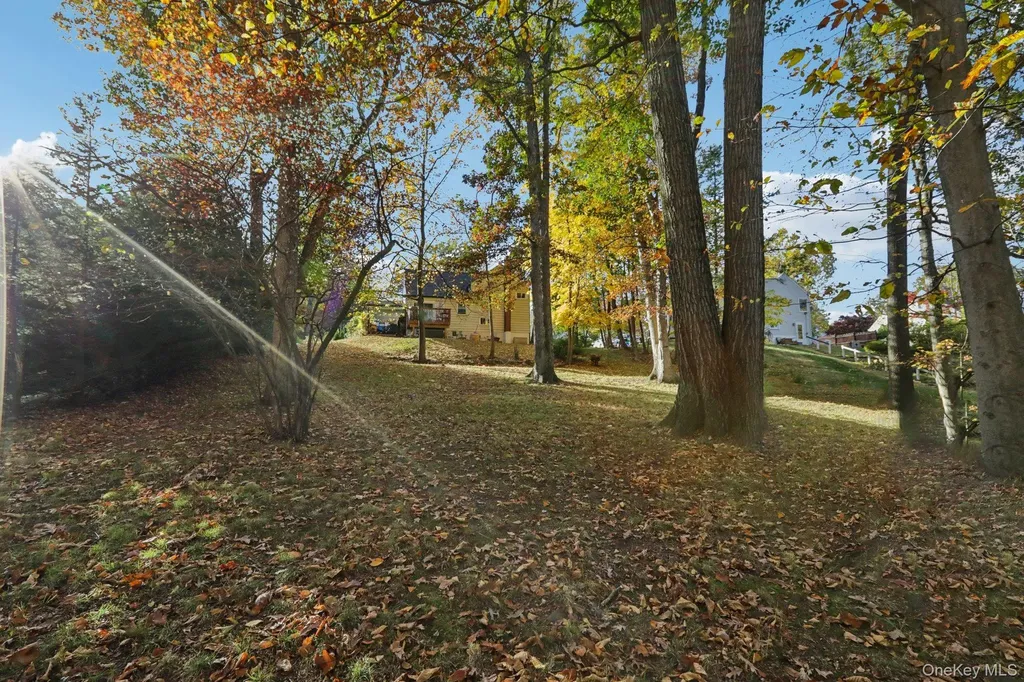 46 Cara Drive Pearl River NY 10965