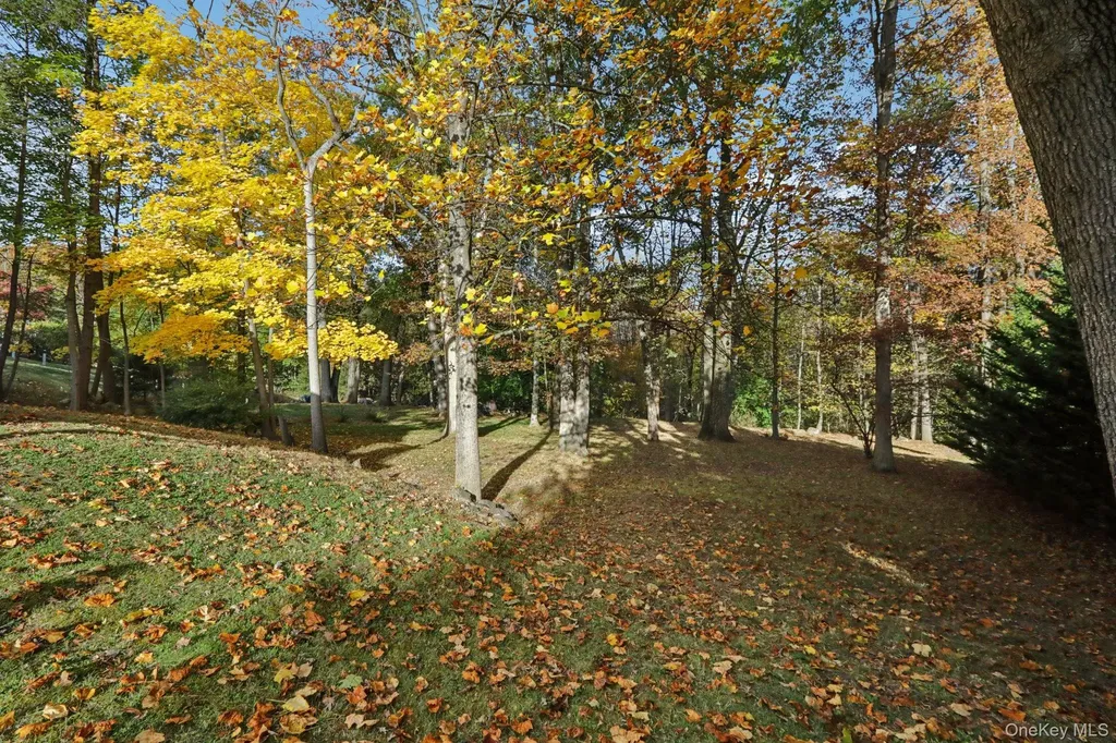 46 Cara Drive Pearl River NY 10965