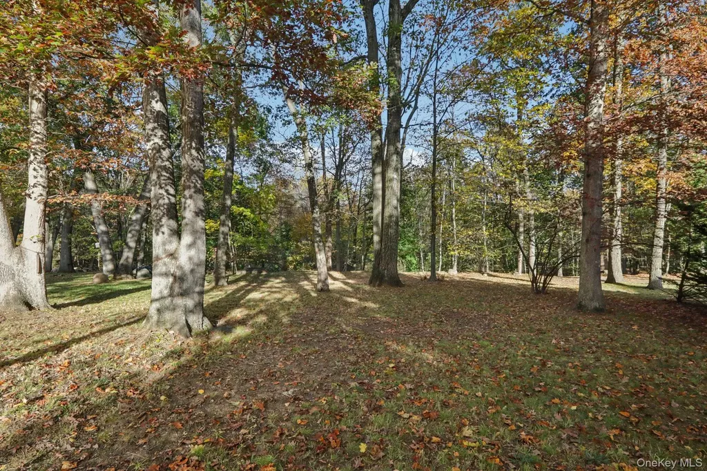 46 Cara Drive Pearl River NY 10965