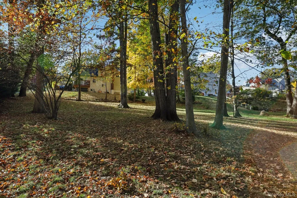 46 Cara Drive Pearl River NY 10965
