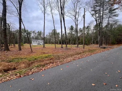 26 Summit Drive Barryville NY 12719