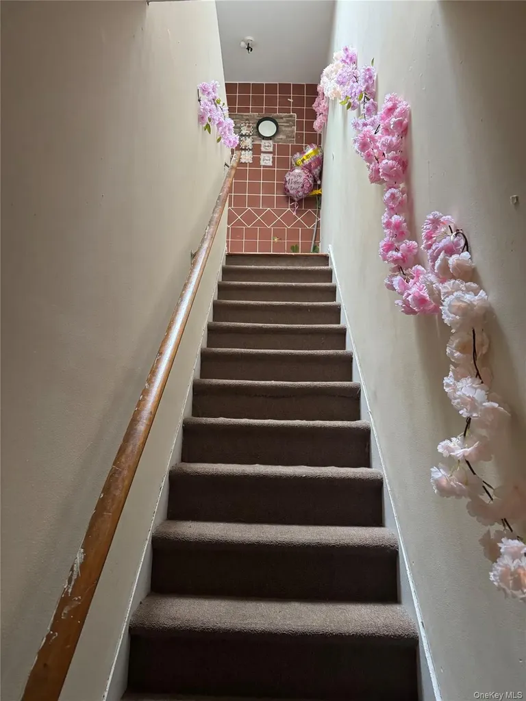191 Grant Avenue Brooklyn NY 11208