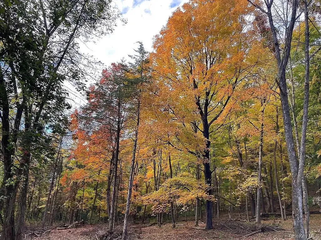 410 County Route 25 Hudson NY 12434