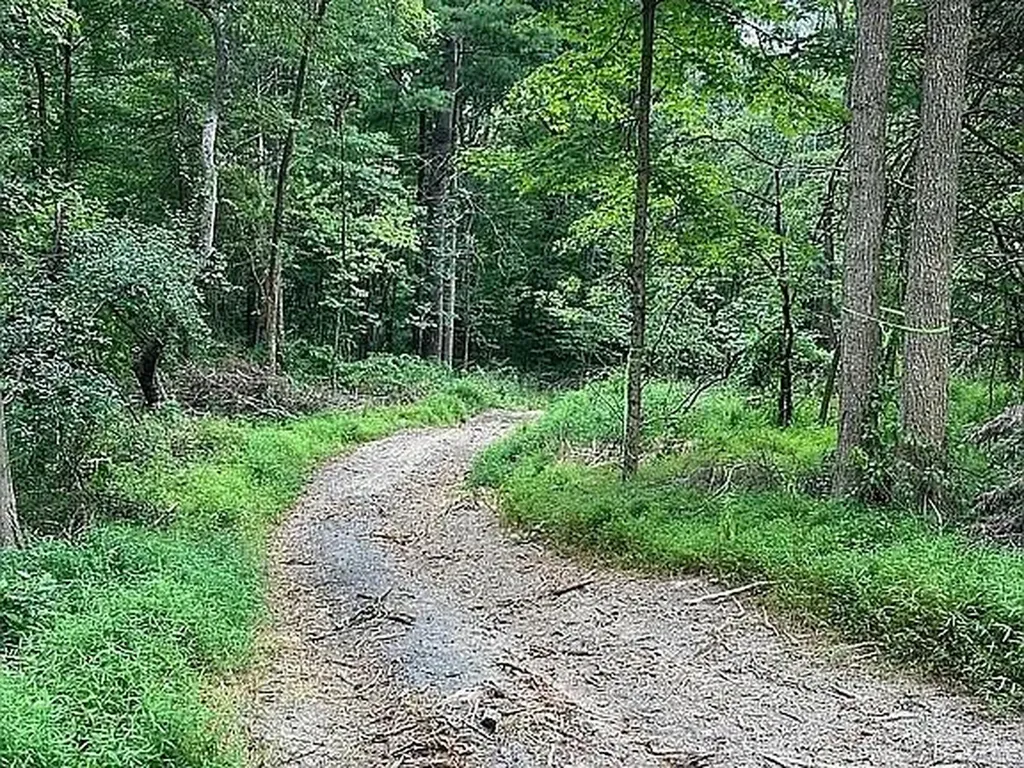 410 County Route 25 Hudson NY 12434