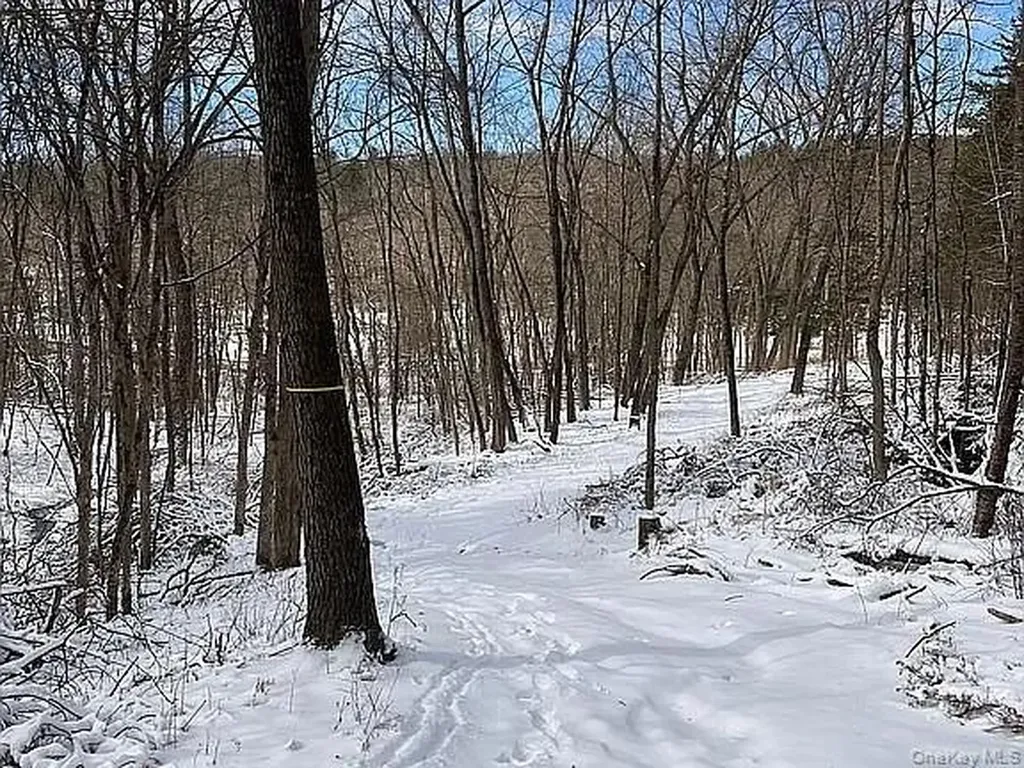 410 County Route 25 Hudson NY 12434
