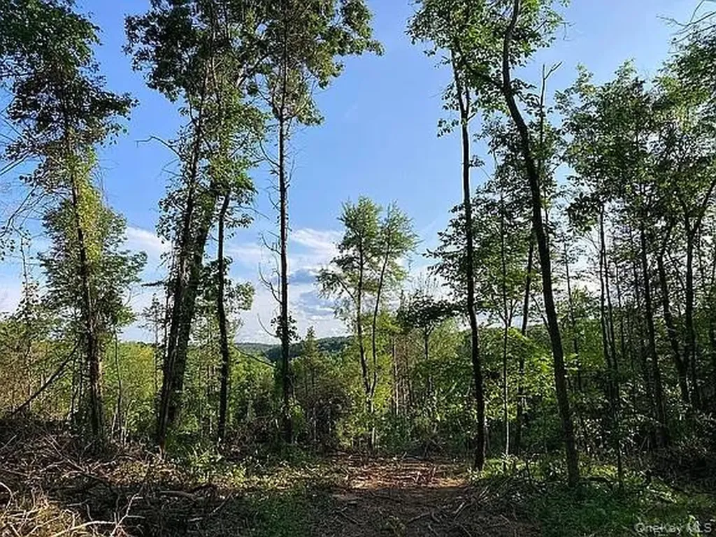 410 County Route 25 Hudson NY 12434