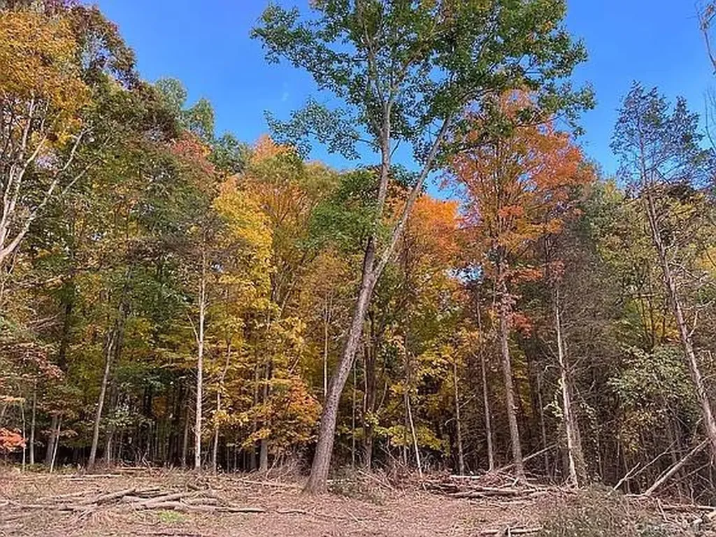 410 County Route 25 Hudson NY 12434