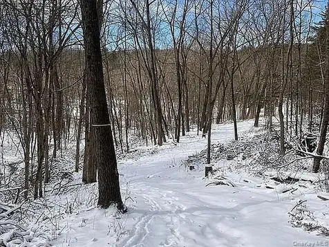 410 County Route 25 Hudson NY 12434