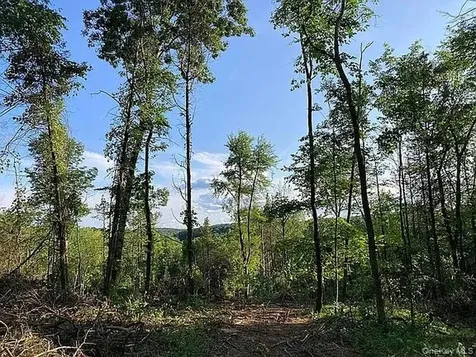 410 County Route 25 Hudson NY 12434
