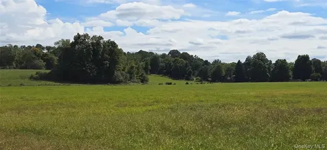 1196 82 Route Hopewell Junction NY 12533