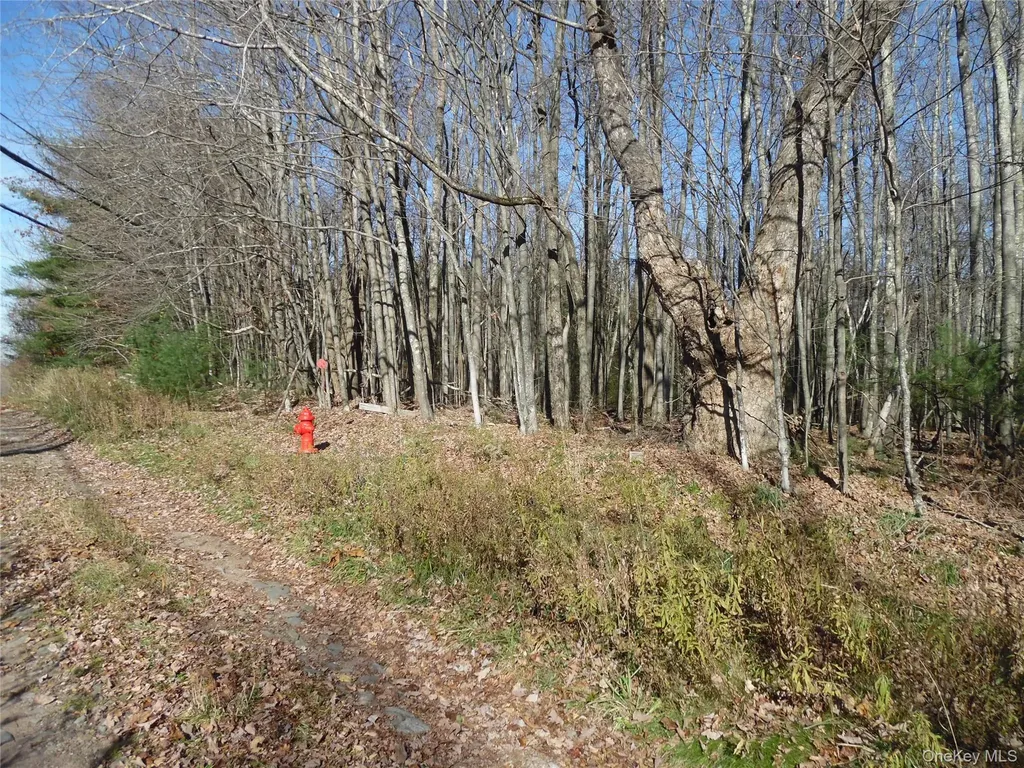 Tbt Route 42 Monticello NY 12701